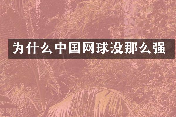 为什么中国网球没那么强