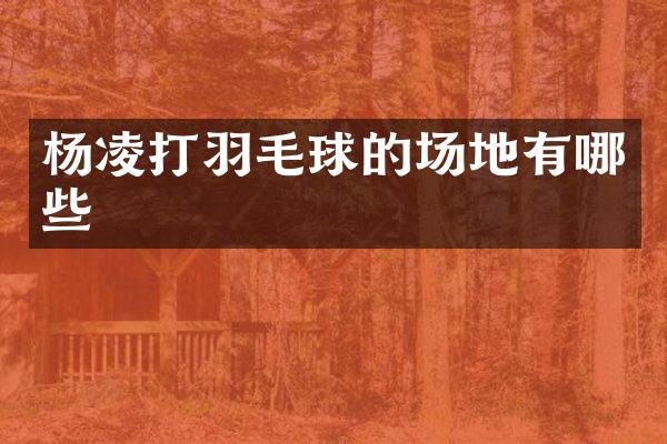 杨凌打羽毛球的场地有哪些