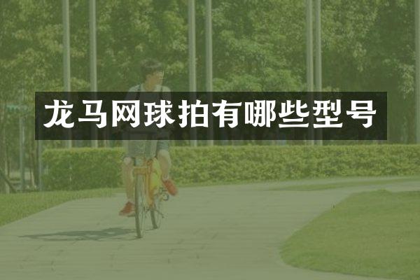 龙马网球拍有哪些型号