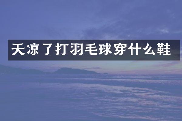 天凉了打羽毛球穿什么鞋