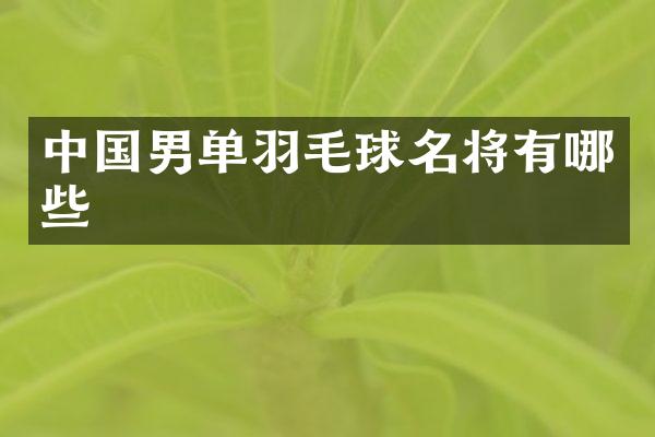 中国男单羽毛球名将有哪些