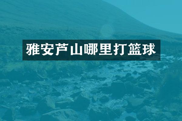 雅安芦山哪里打篮球