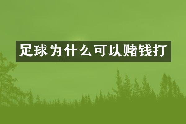 足球为什么可以赌钱打