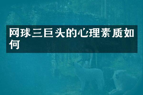 网球三巨头的心理素质如何