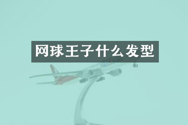 网球王子什么发型