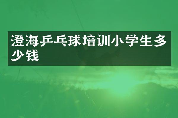 澄海乒乓球培训小学生多少钱