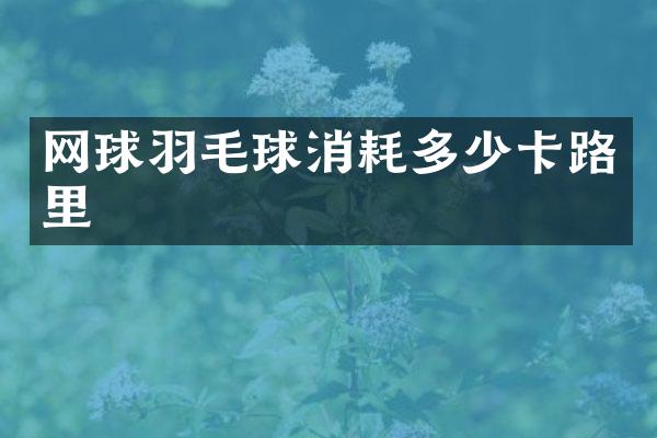 网球羽毛球消耗多少卡路里