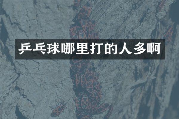 乒乓球哪里打的人多啊