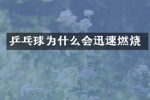 乒乓球为什么会迅速燃烧