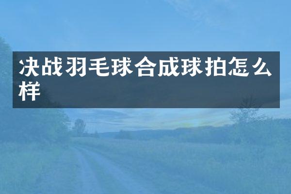 决战羽毛球合成球拍怎么样