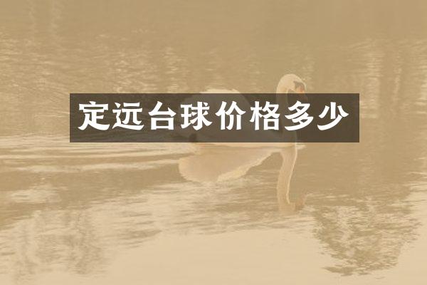定远台球价格多少