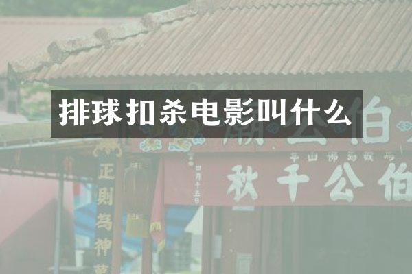 排球扣杀电影叫什么