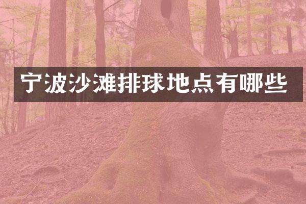 宁波沙滩排球地点有哪些