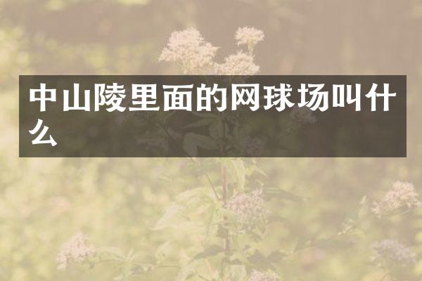 中山陵里面的网球场叫什么