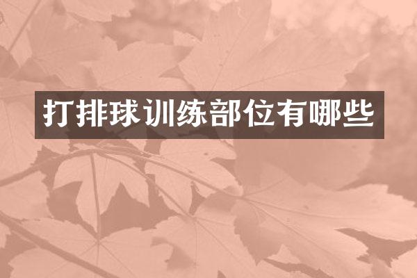 打排球训练部位有哪些