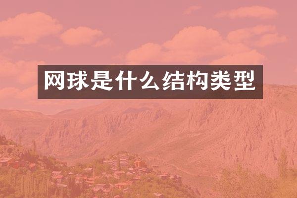 网球是什么结构类型