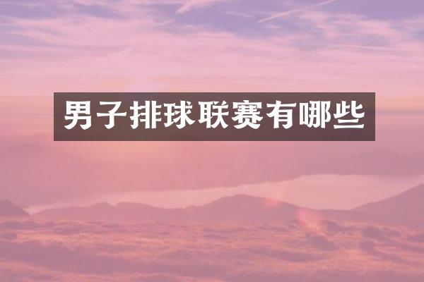 男子排球联赛有哪些