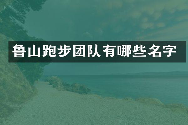 鲁山跑步团队有哪些名字
