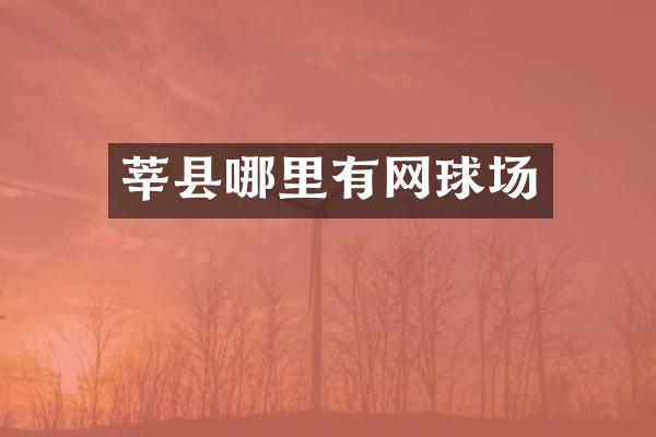 莘县哪里有网球场