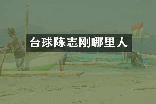 台球陈志刚哪里人