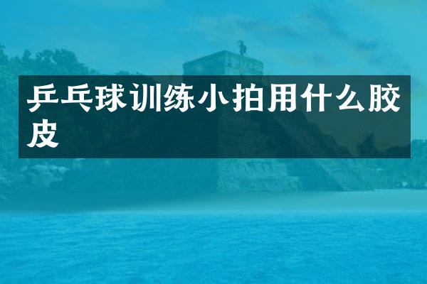 乒乓球训练小拍用什么胶皮