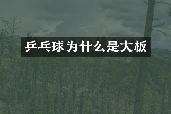 乒乓球为什么是大板