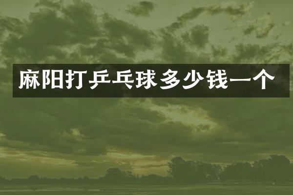 麻阳打乒乓球多少钱一个