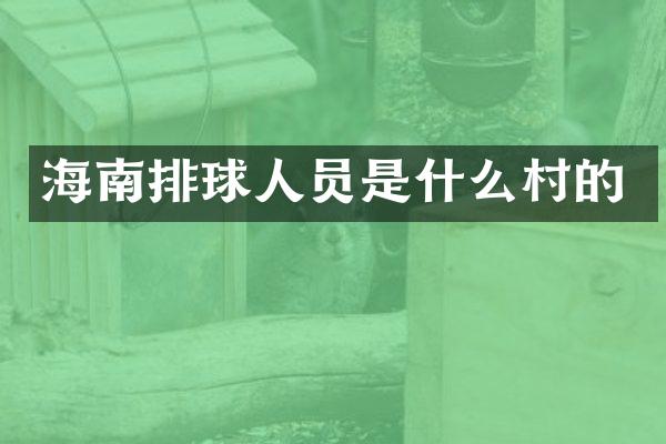 海南排球人员是什么村的