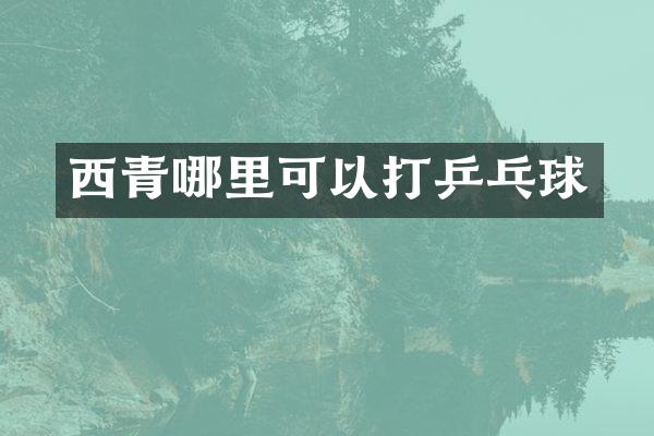 西青哪里可以打乒乓球