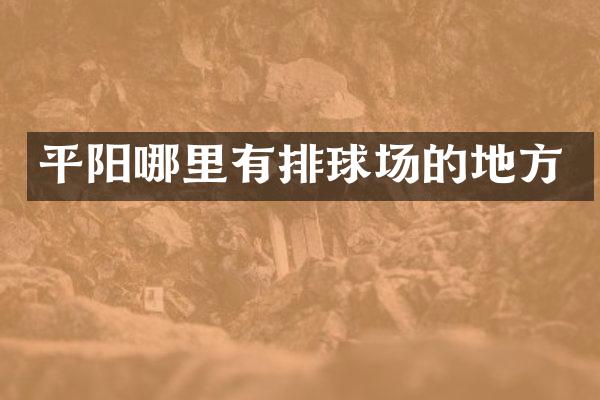 平阳哪里有排球场的地方