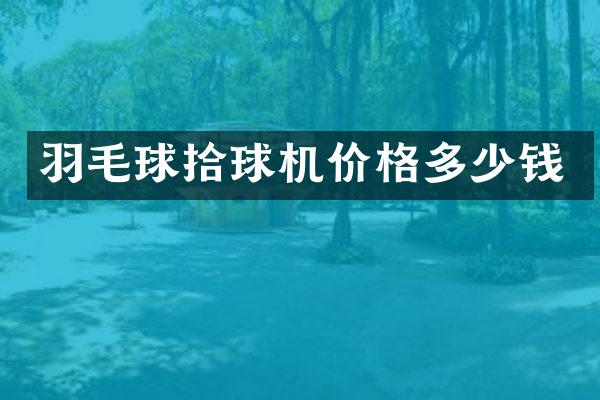 羽毛球拾球机价格多少钱