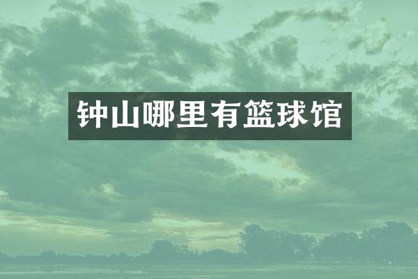 钟山哪里有篮球馆