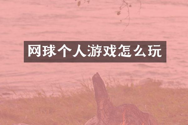 网球个人游戏怎么玩