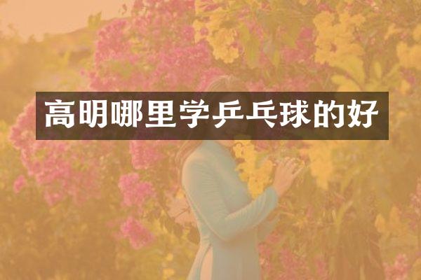高明哪里学乒乓球的好