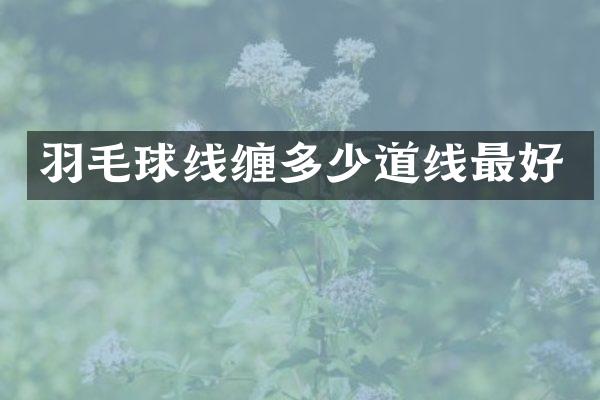 羽毛球线缠多少道线最好