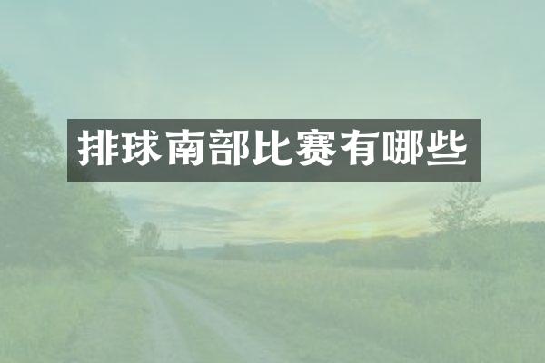排球南部比赛有哪些