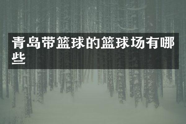 青岛带篮球的篮球场有哪些