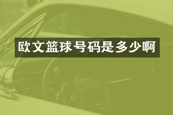 欧文篮球号码是多少啊