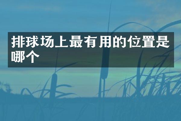 排球场上最有用的位置是哪个