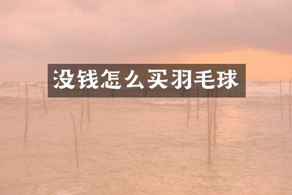 没钱怎么买羽毛球