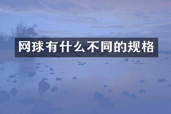 网球有什么不同的规格