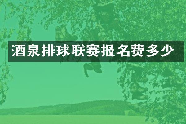 酒泉排球联赛报名费多少