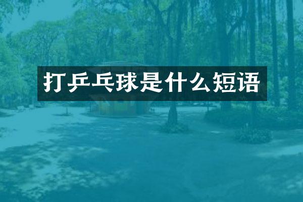 打乒乓球是什么短语