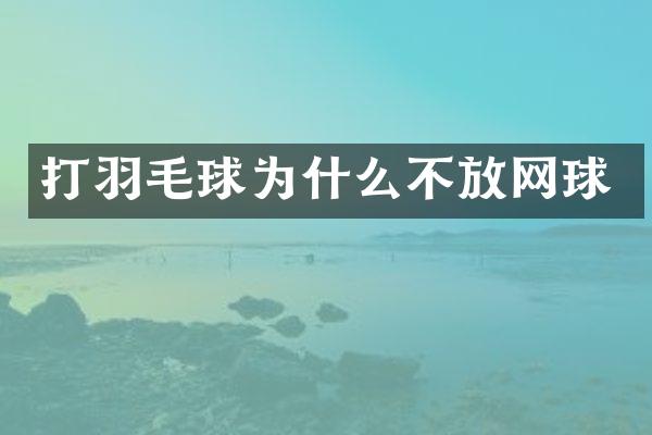 打羽毛球为什么不放网球