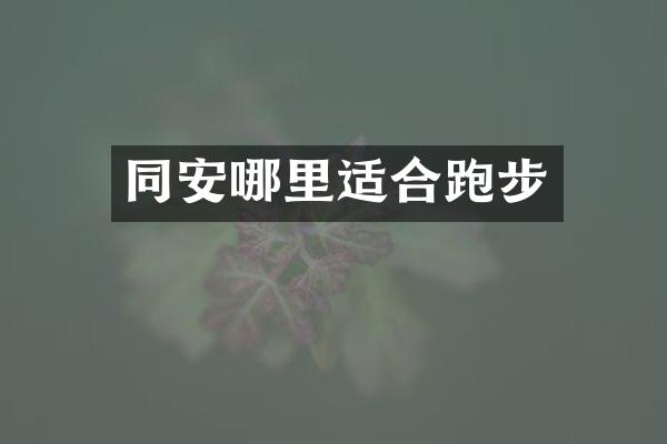 同安哪里适合跑步