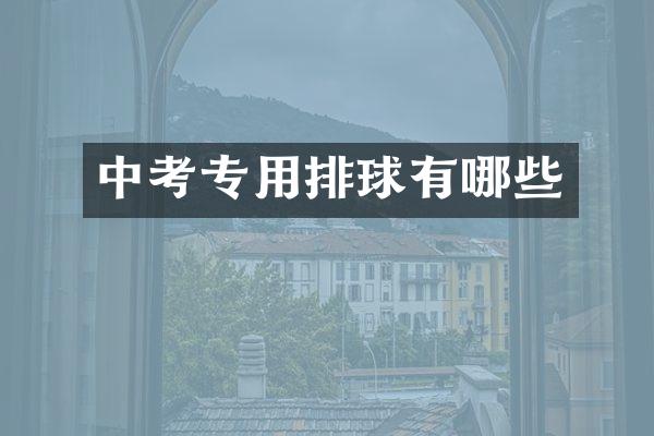 中考专用排球有哪些