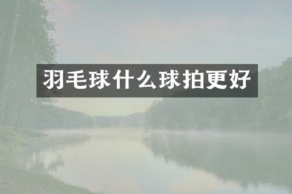 羽毛球什么球拍更好