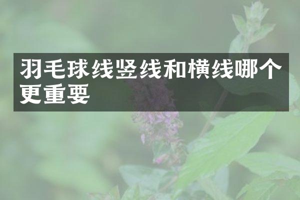 羽毛球线竖线和横线哪个更重要