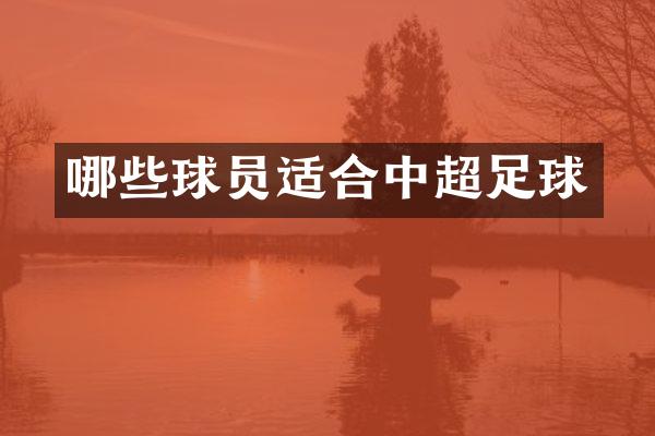 哪些球员适合中超足球