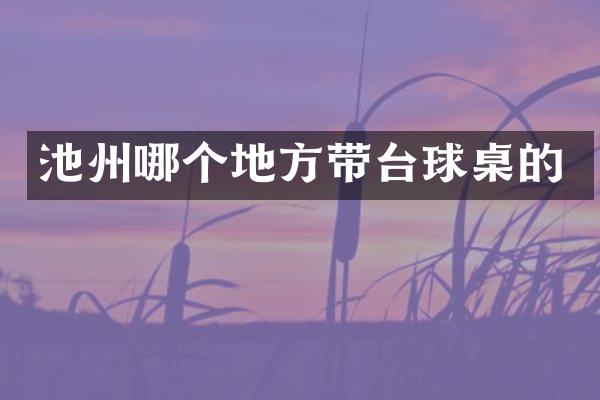 池州哪个地方带台球桌的